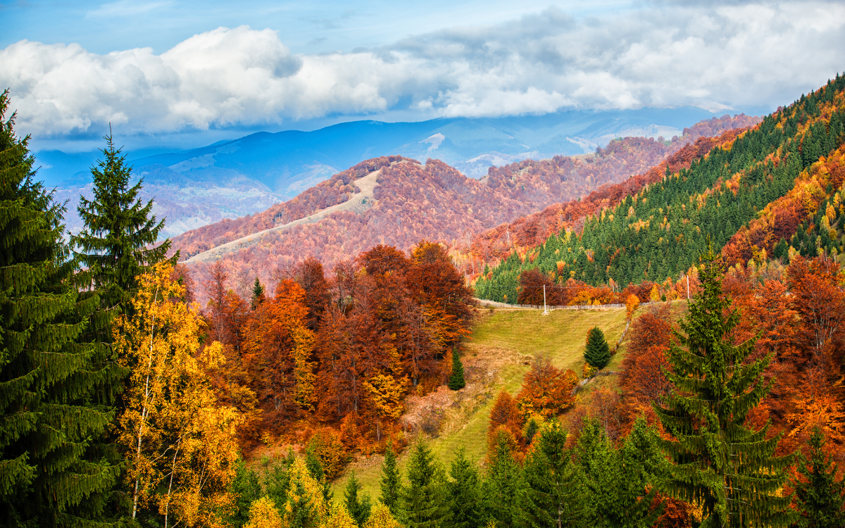 Colorado Land Loans Explained: Raw, Improved, and USDA/FSA Options